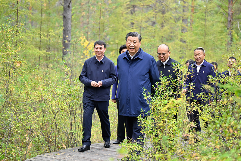 9月6日至8日，，，，，，，中共中央总书记、国家主席、中央军委主席习近平在黑龙江考察。。。。。。。这是6日下昼，，，，，，，习近平在大兴安岭地区漠河市漠河林场自然林区考察