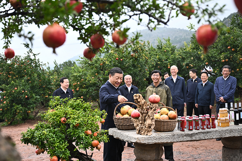 优发国际·随优而动一触即发
